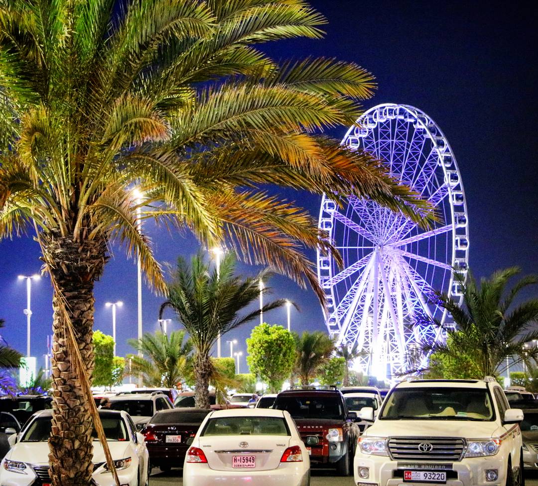 IMG_20170426_212023_181