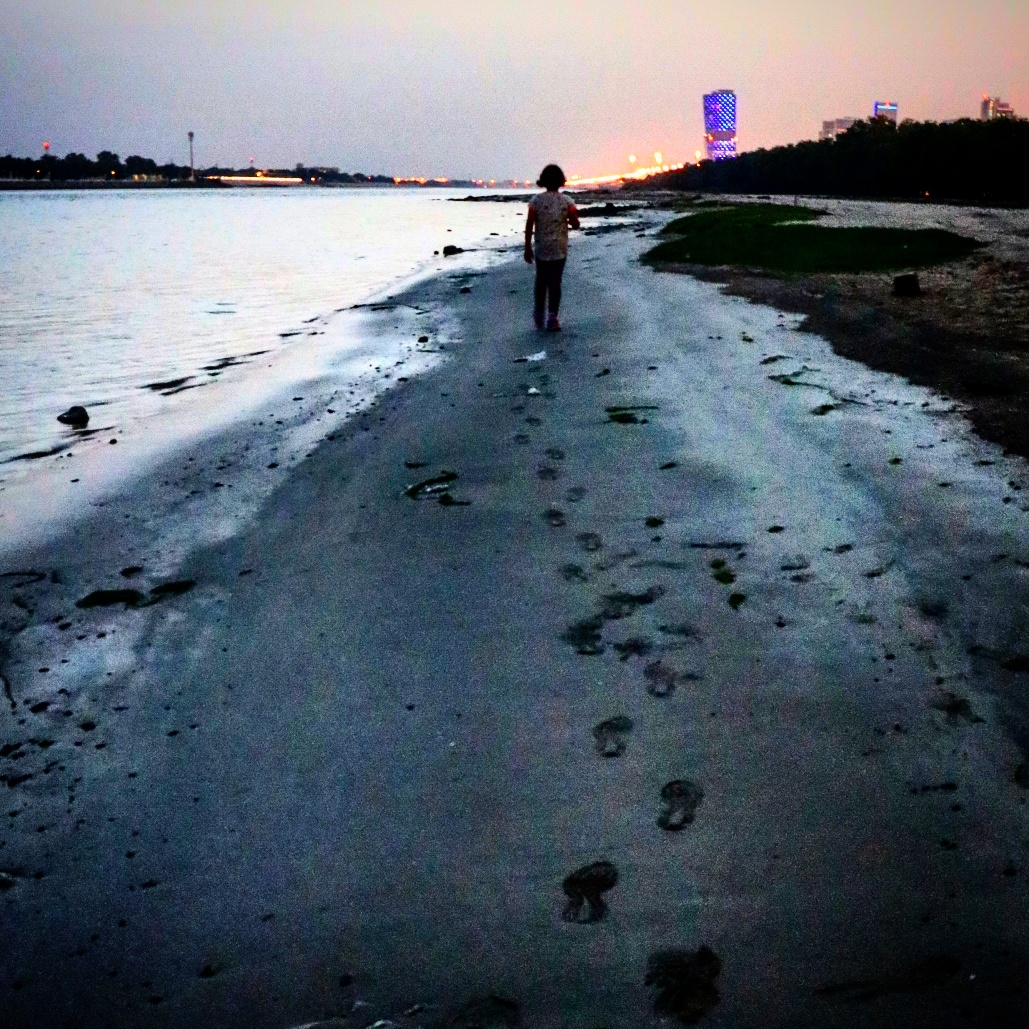 IMG_20170526_000913_154