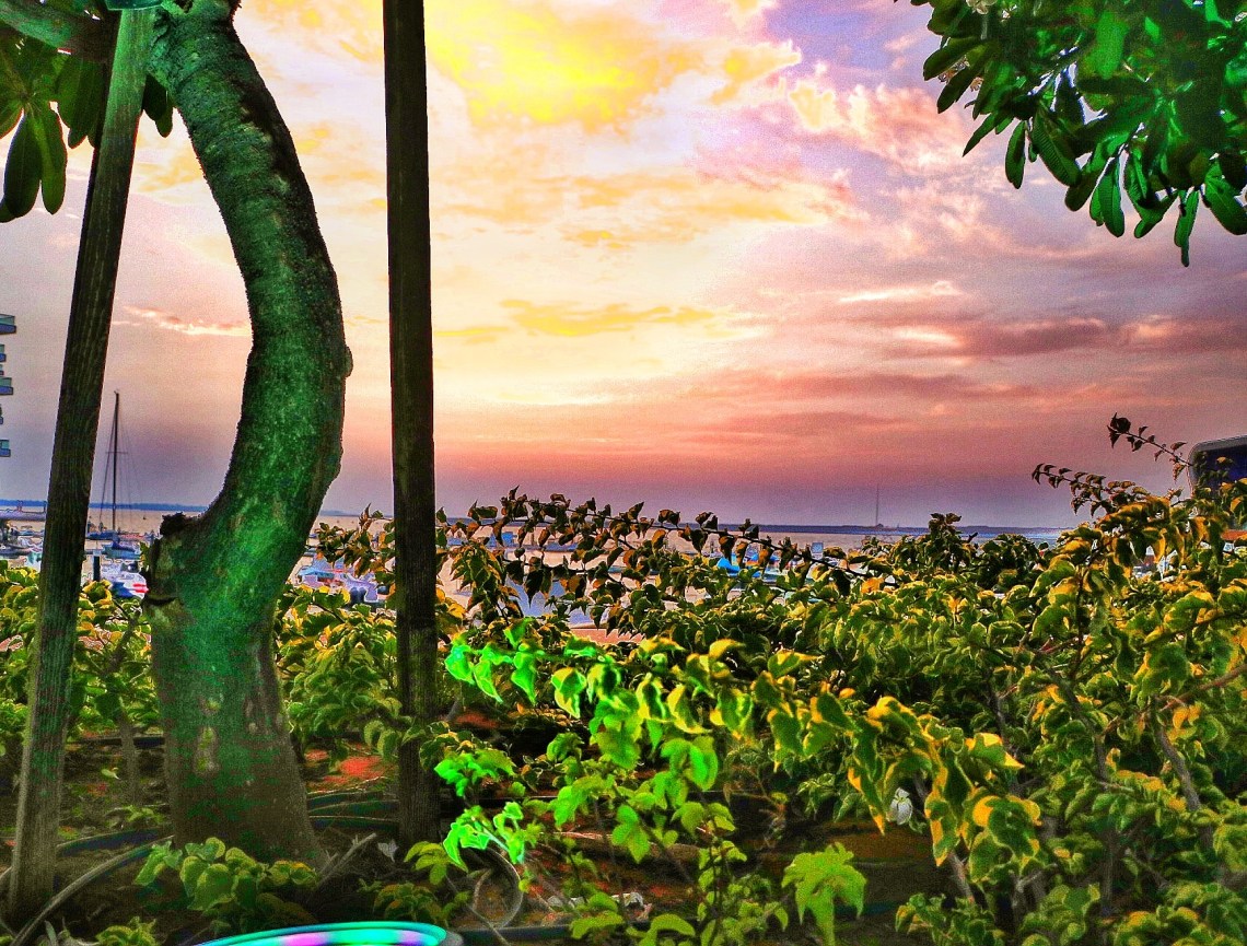 IMG_20170606_165226_983